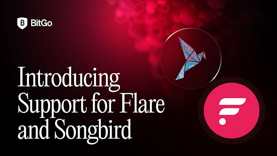 BitGo_Flare.png